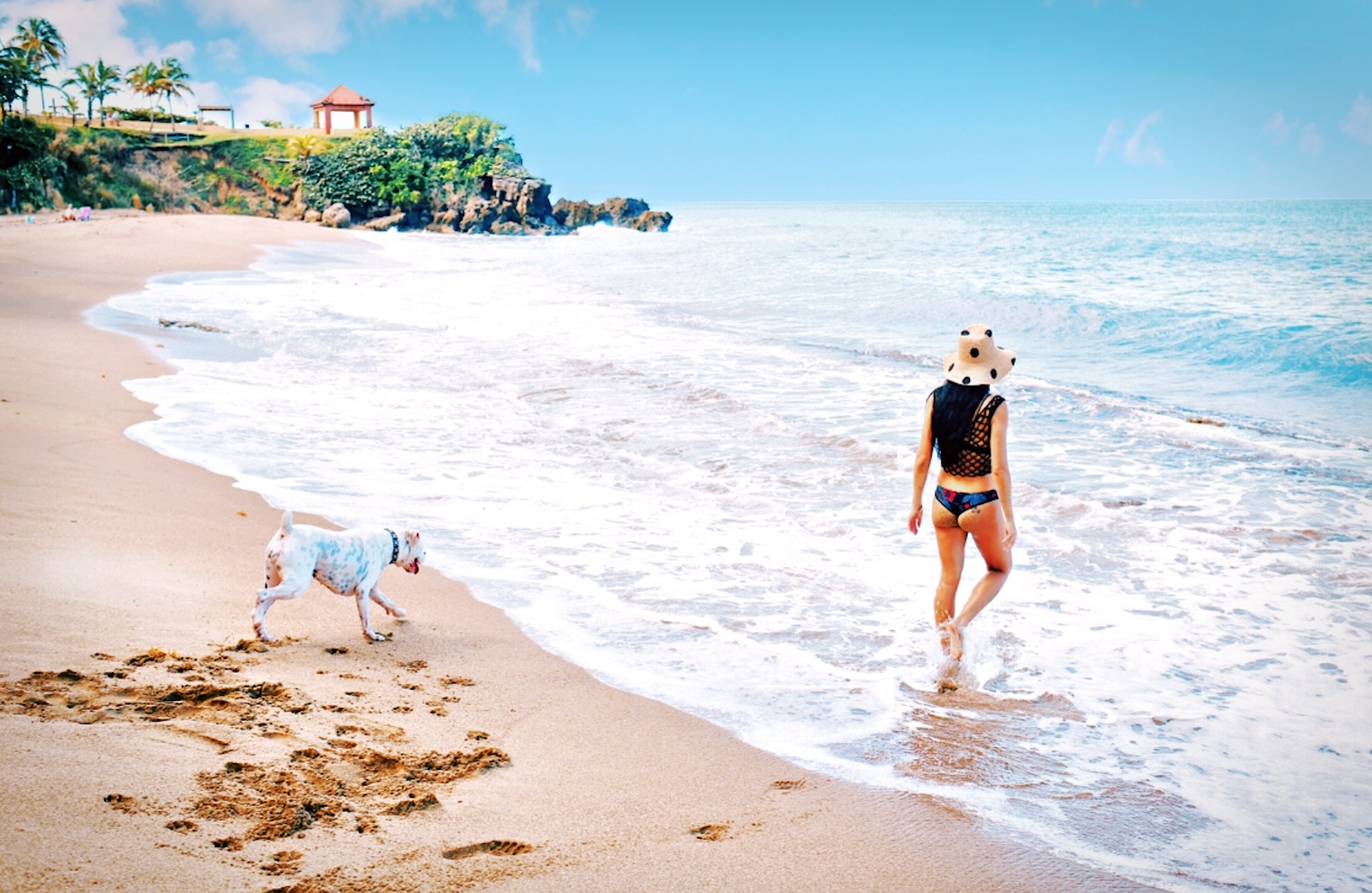 rincon puerto rico carla isabel carstens.jpg
