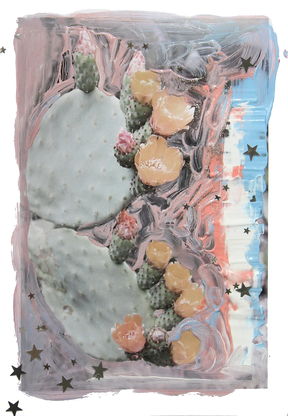 cacti-web3.jpg