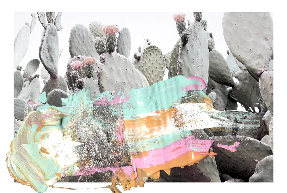 cacti-web1.jpg