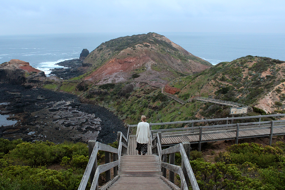 CapeSchanck1.jpg