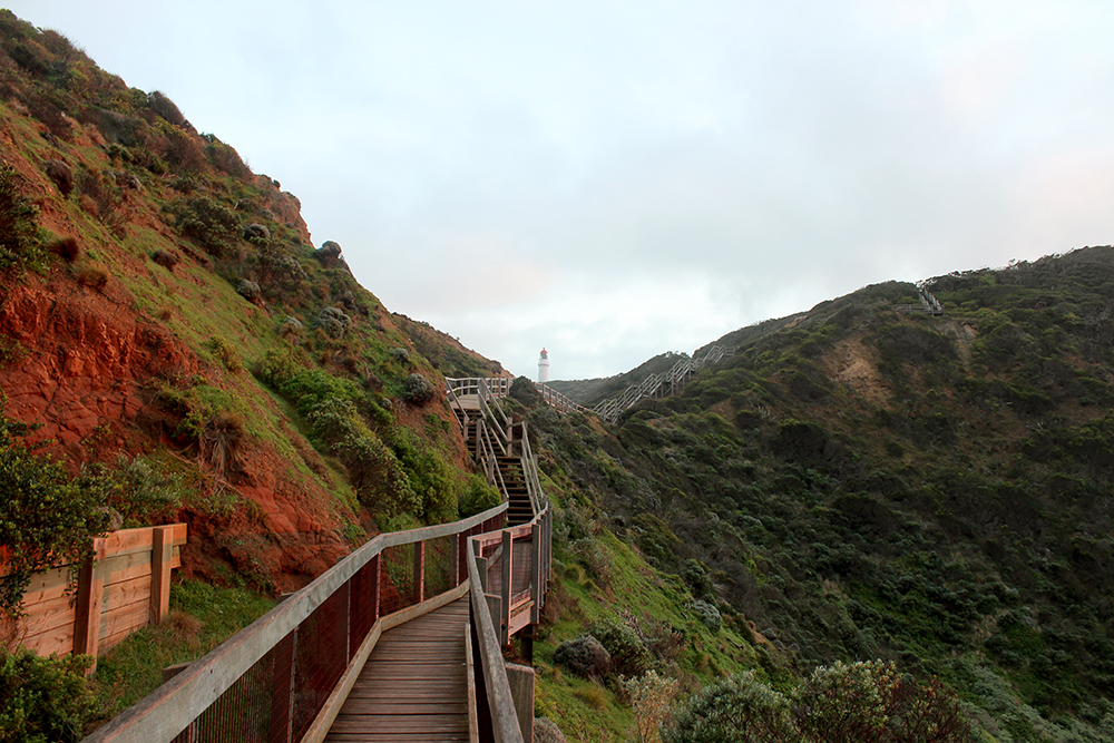 CapeSchanck7.jpg