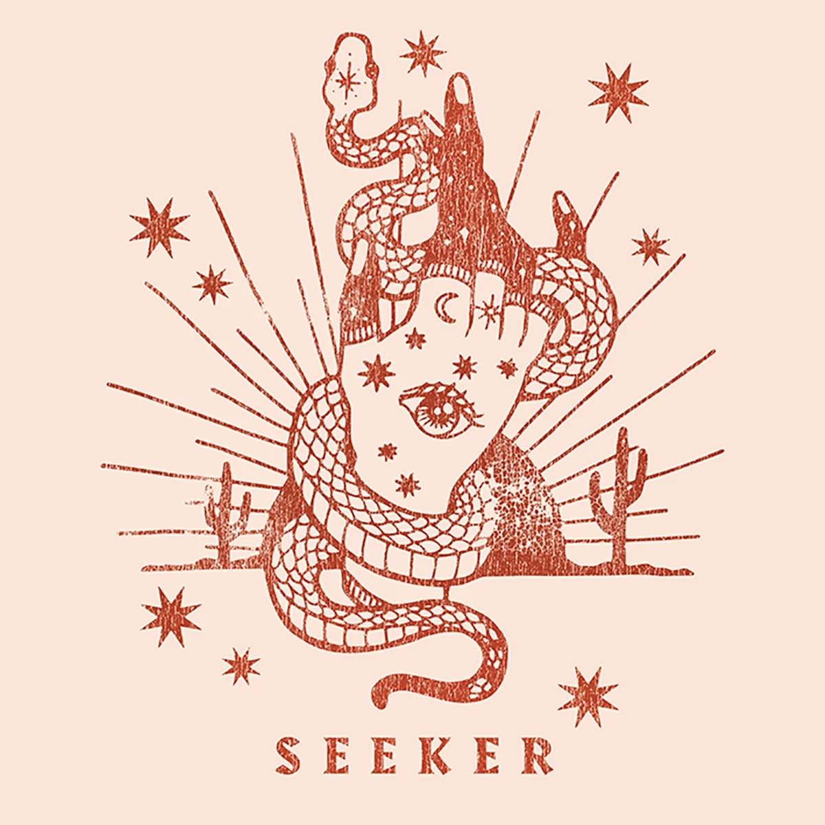 Seeker-web.jpg