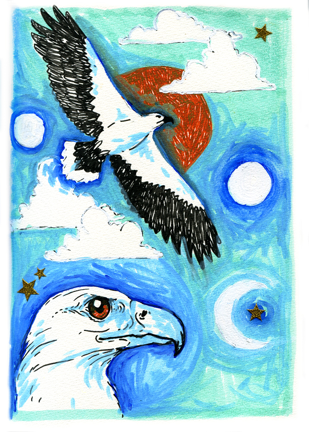 SeaEagle-study-web.jpg