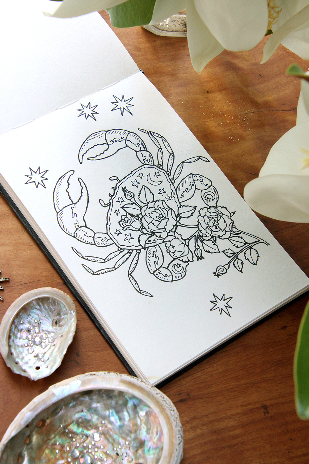 Sketchbook-jan19-3.jpg