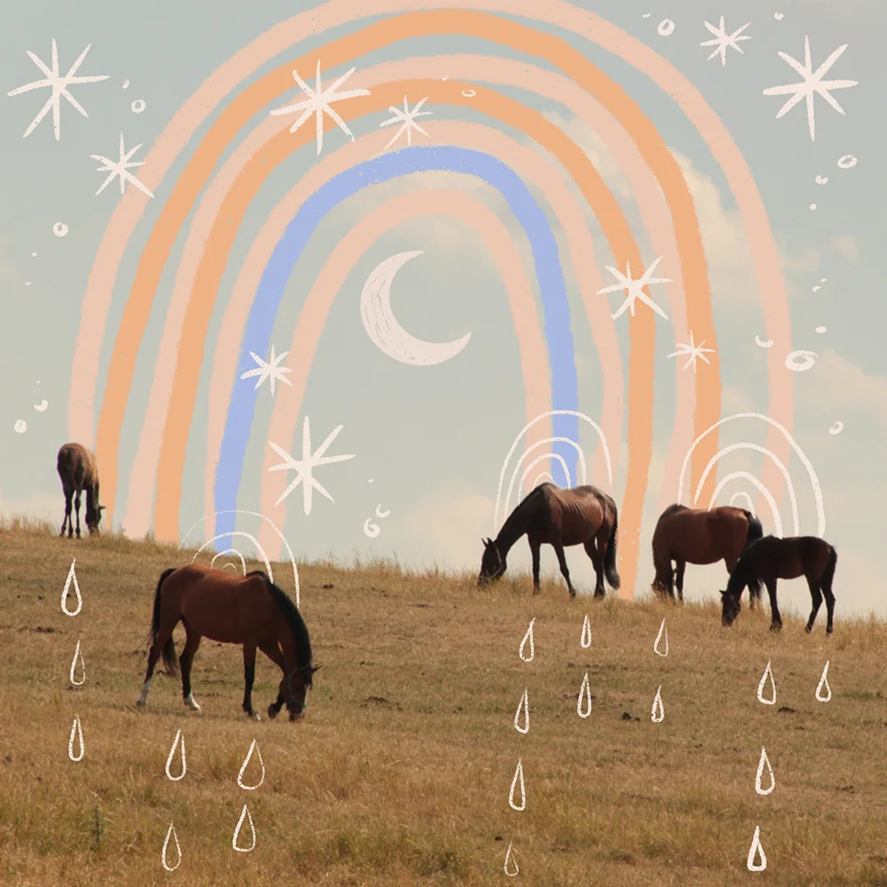 ponygold-rainbows-2.jpg