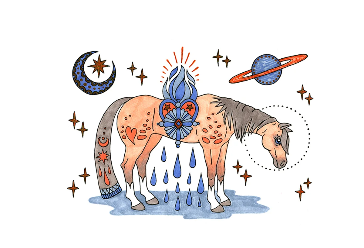 Rainpony-ponygold2.jpg