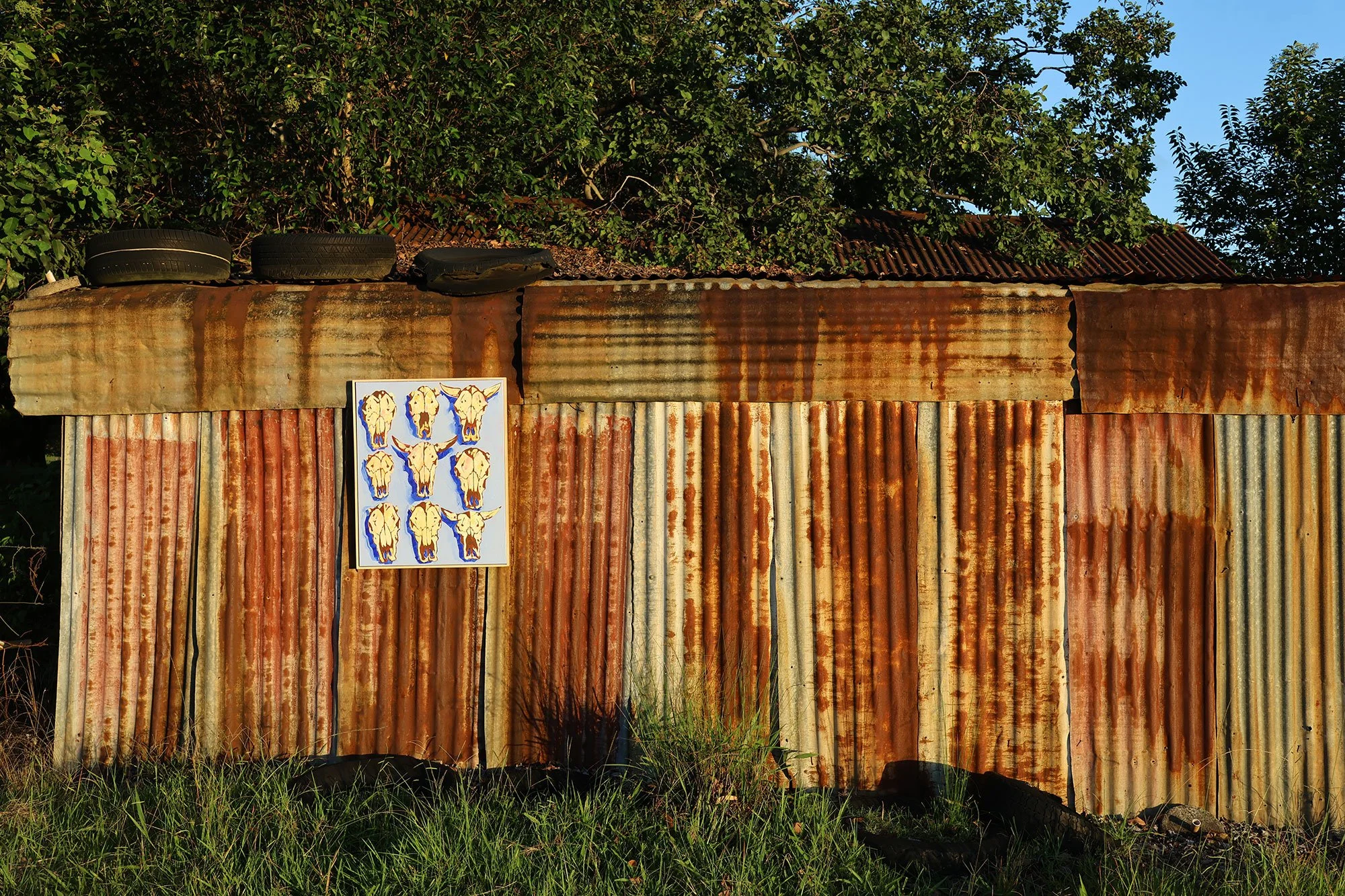 Skull-collection-shed-web.jpg
