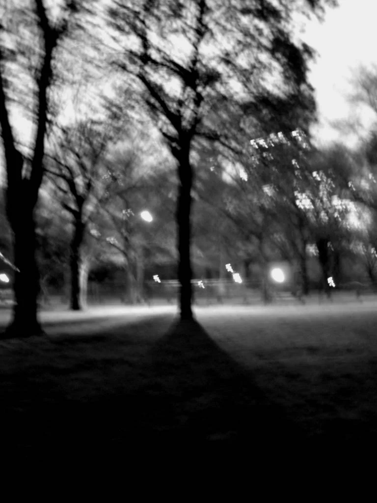 ny2PICT0119%20darker%202.jpg