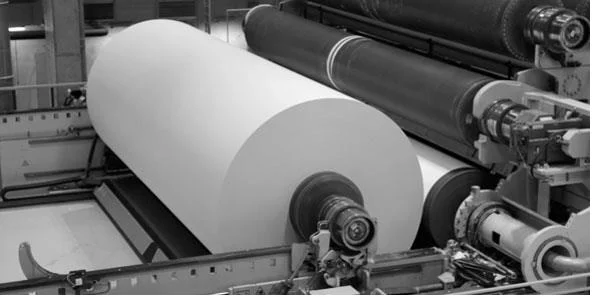 PaperPulp.jpg