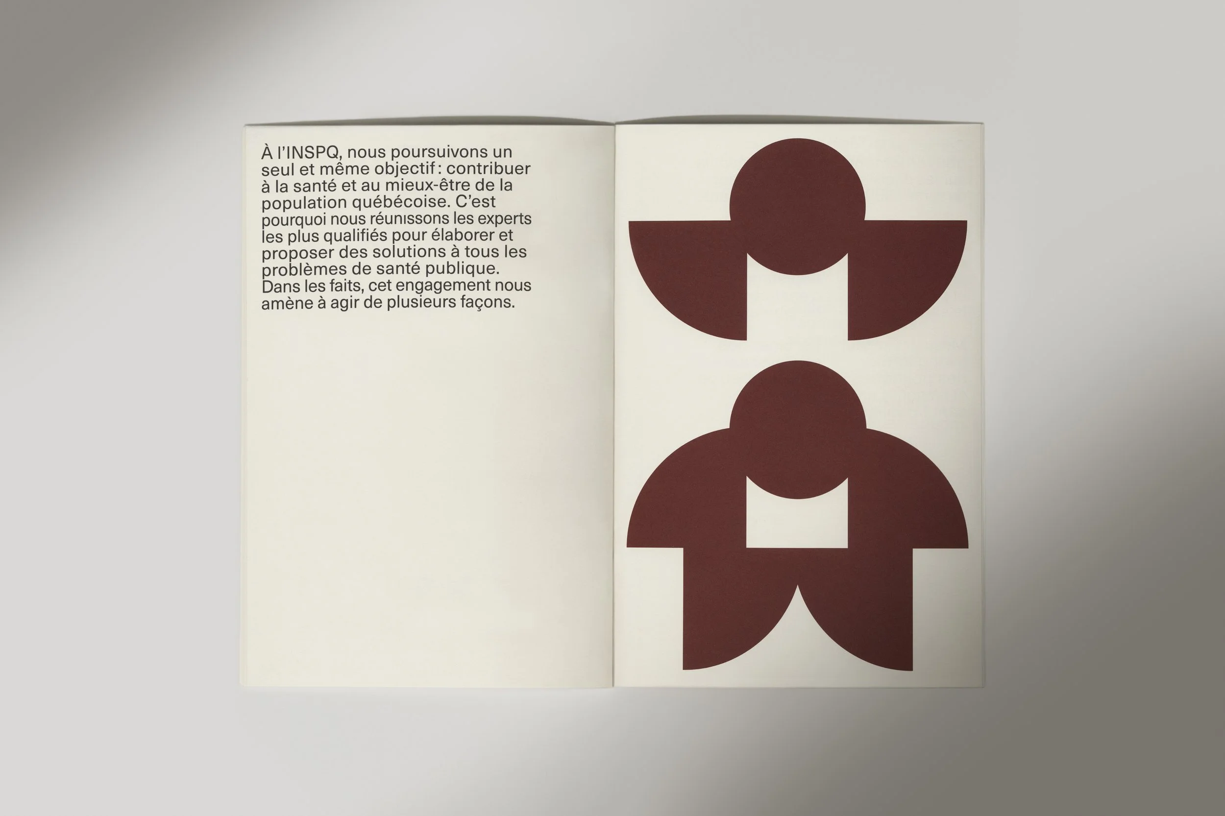 Visuals_InstitutNationalQuébec_3_spread1 copy.jpg