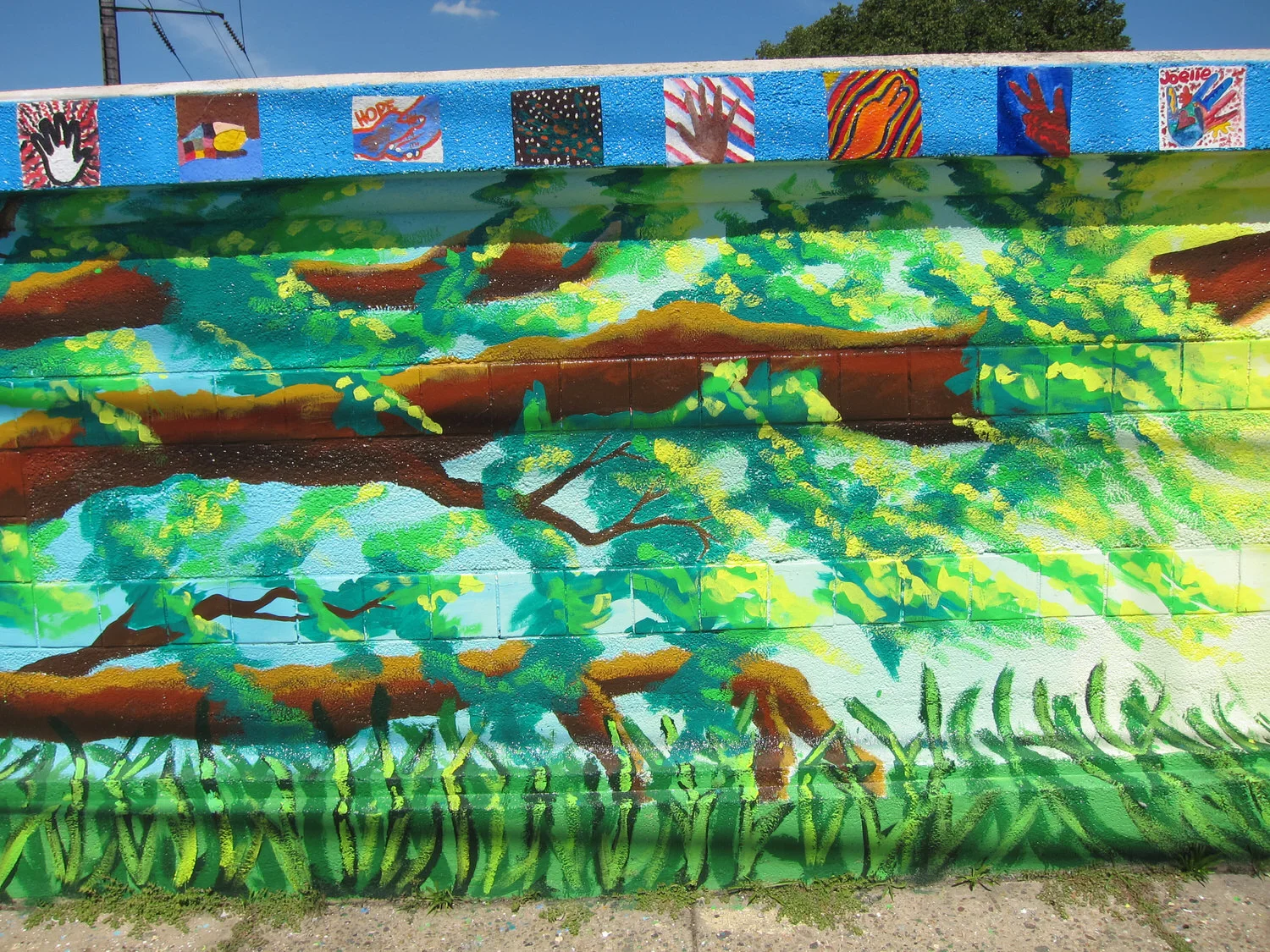 Cayuga Bridge Transformation