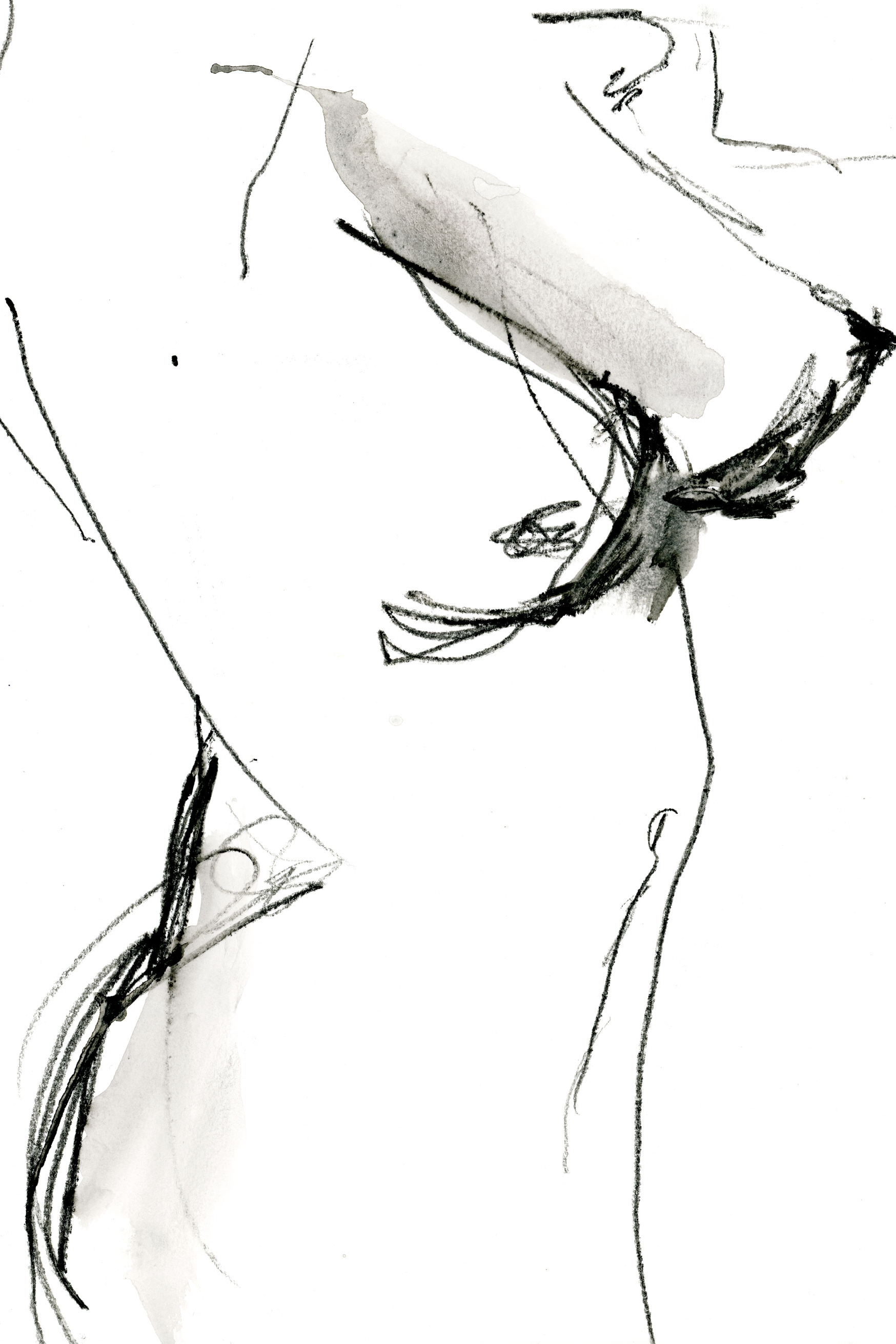 Dot002.jpg