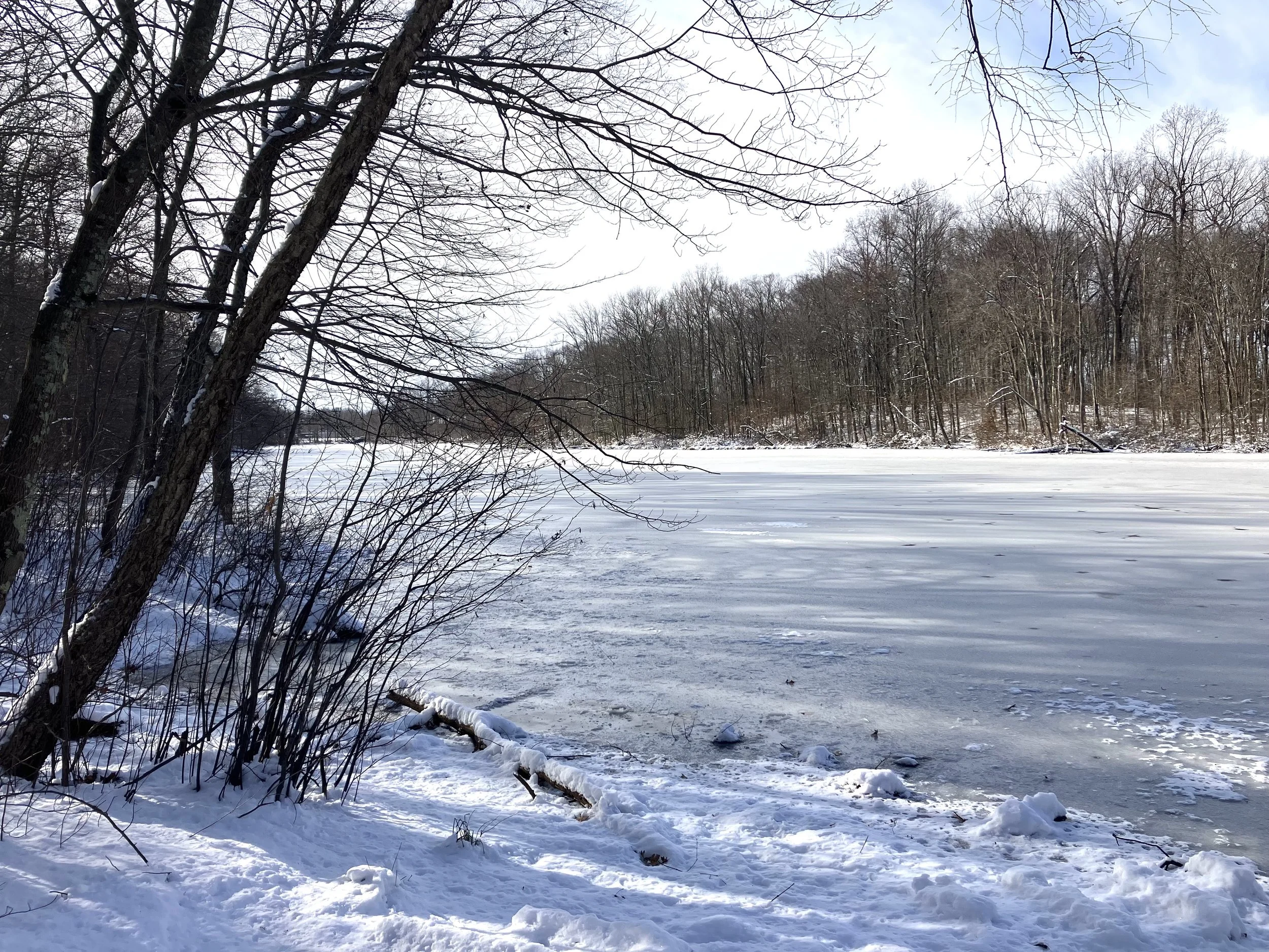 SaltWatch in Action: Citizen Scientists Monitoring the Lawrence Brook ...