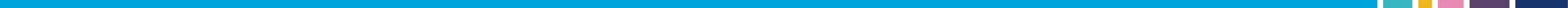 Alba Gomez_Colours Bar_Thin.jpg