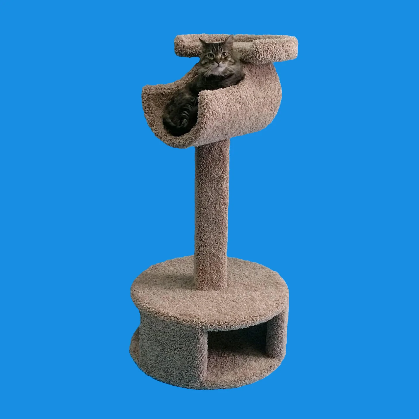Delux Cradle 2.jpg