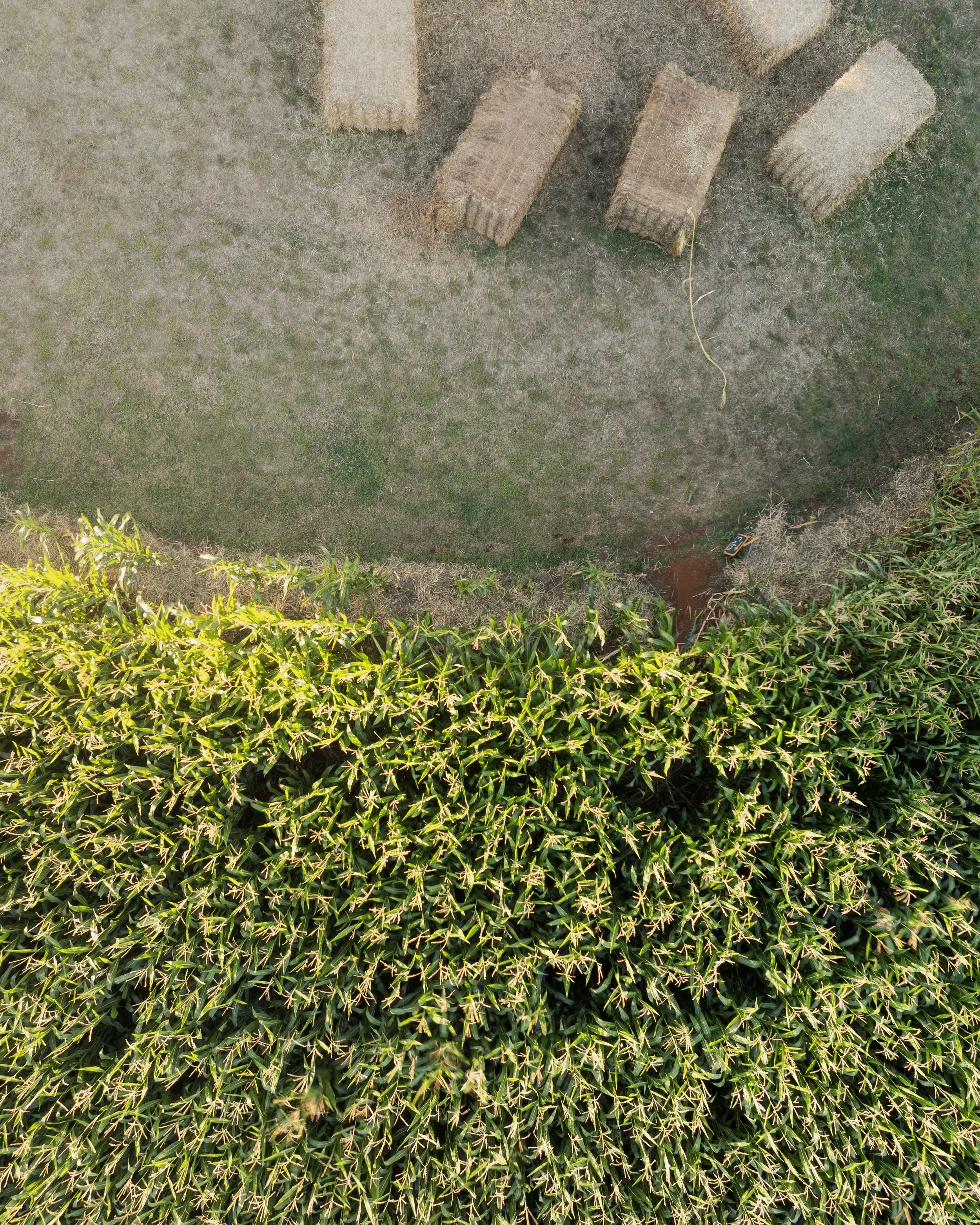 DJI_0152.jpg