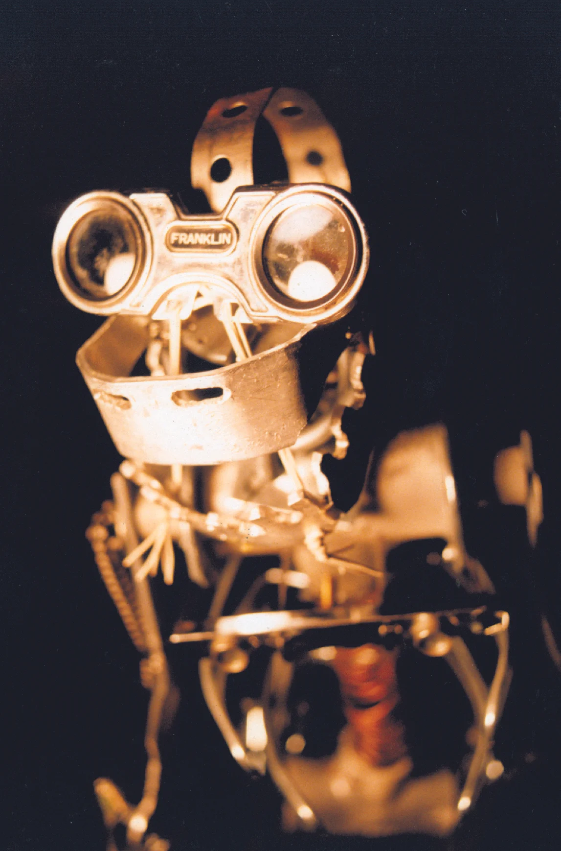 Monkey Robot - "Evolution"