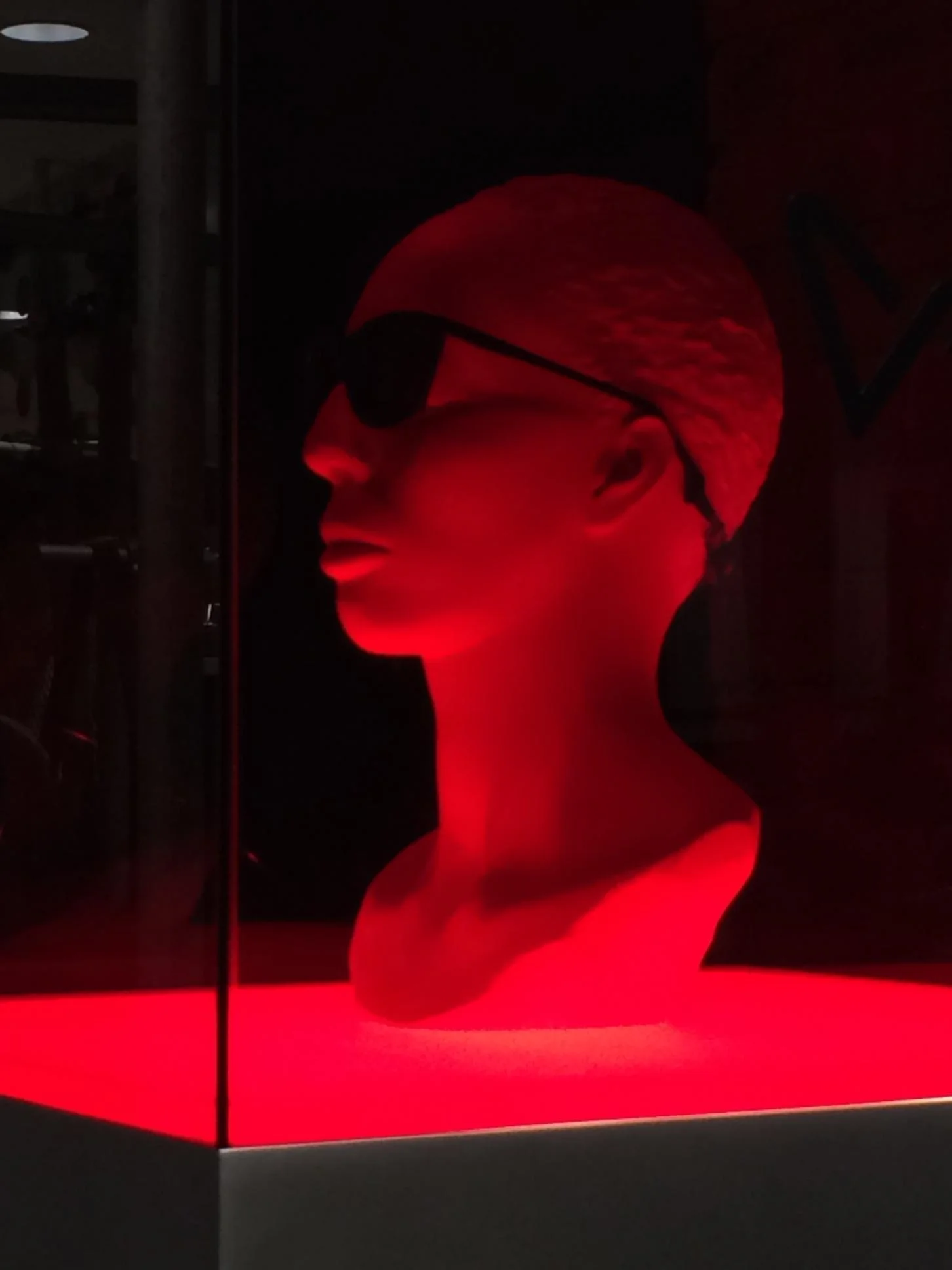 Sunglasses Bust - District Vision