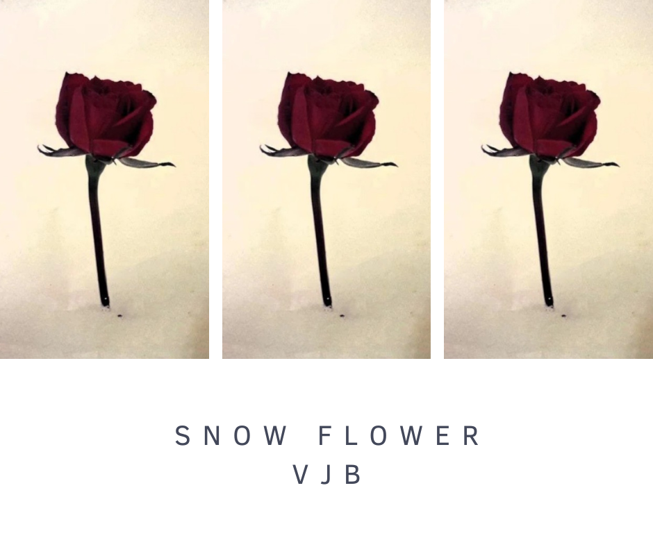 gallery (8).png