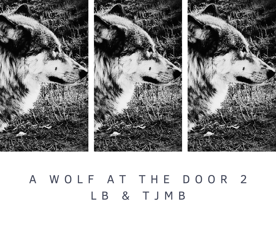 A WOLF AT THE DOOR 2.png
