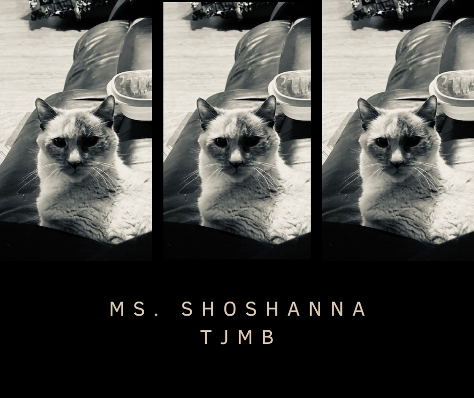 ms. shoshanna.png