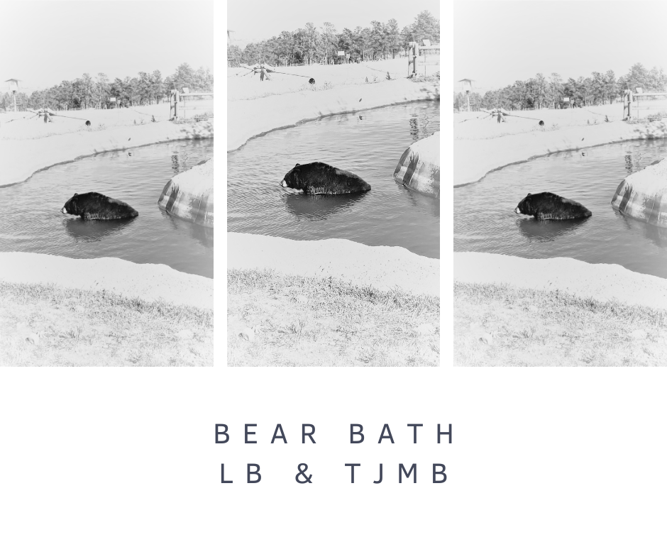 BEAR BATH.png