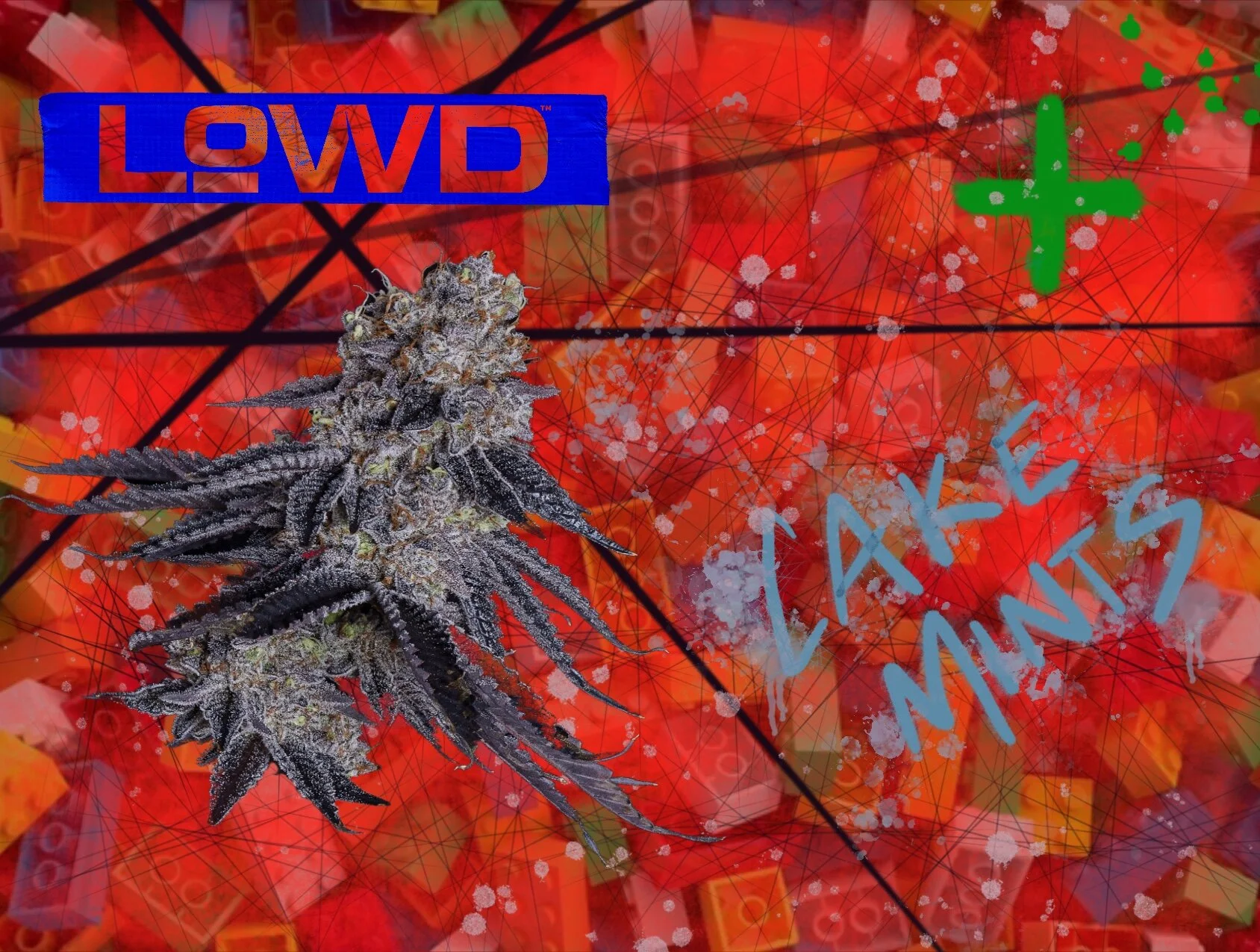 8E3462EF-1831-49B0-B275-D2AE6FD93F71.jpeg