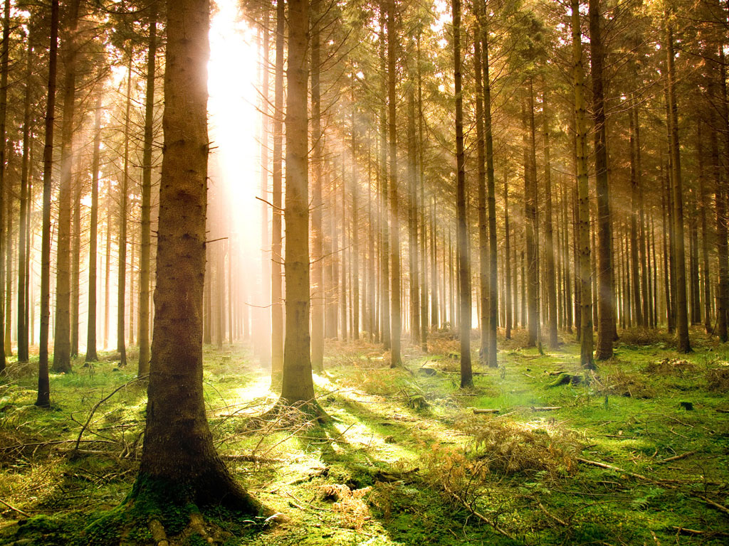 This Simple Vacation Idea can Change Your Life
