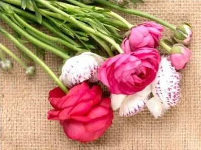 This amazing spray recipe will save you from the summer heat
