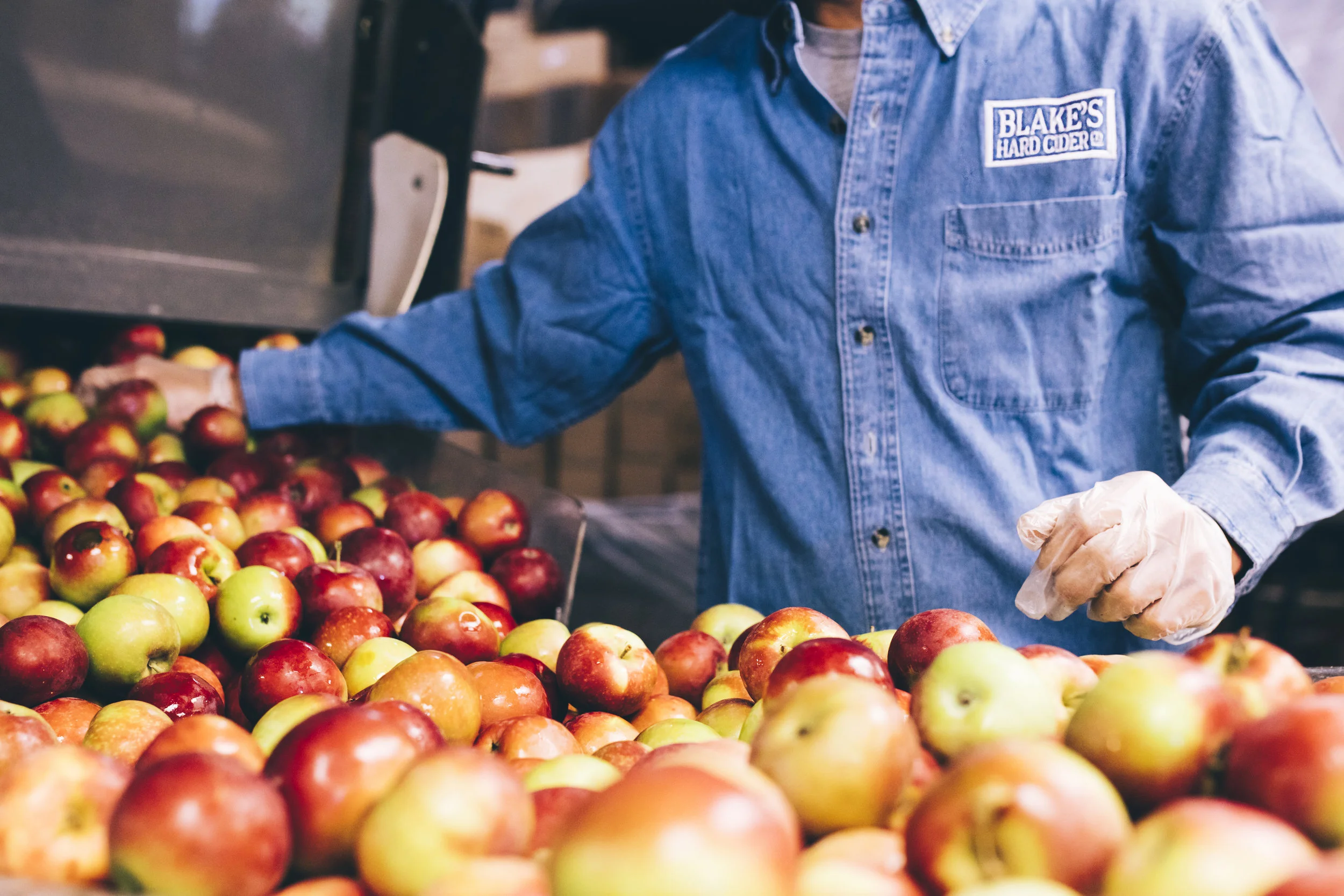 Apples at Blake's via Joe Gall of Blake's Hard Cider. 