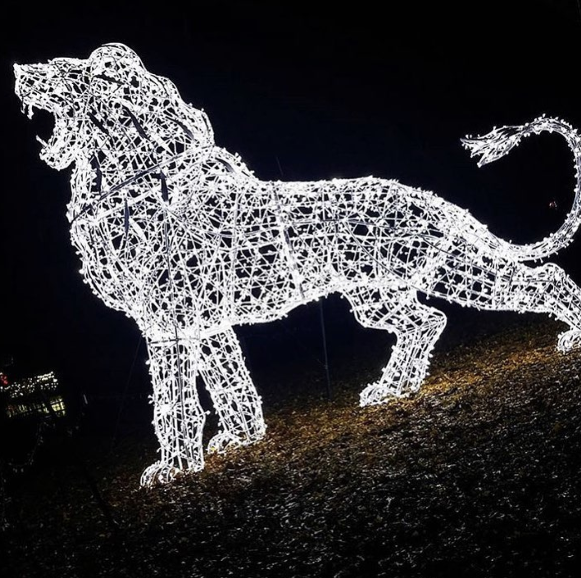 Zoo lights via @detroitzoo . 