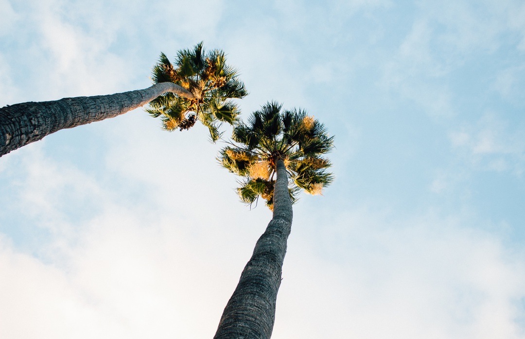UNSPLASH
