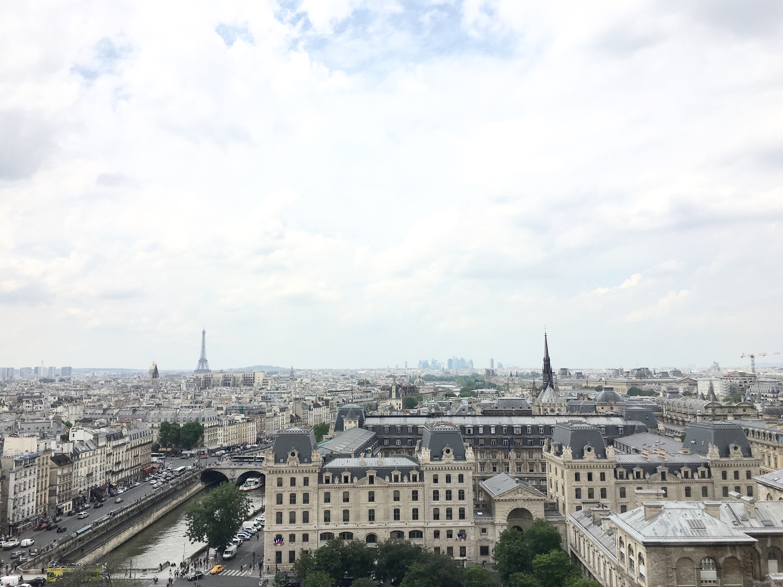 the view from the Towers of Notre Dame