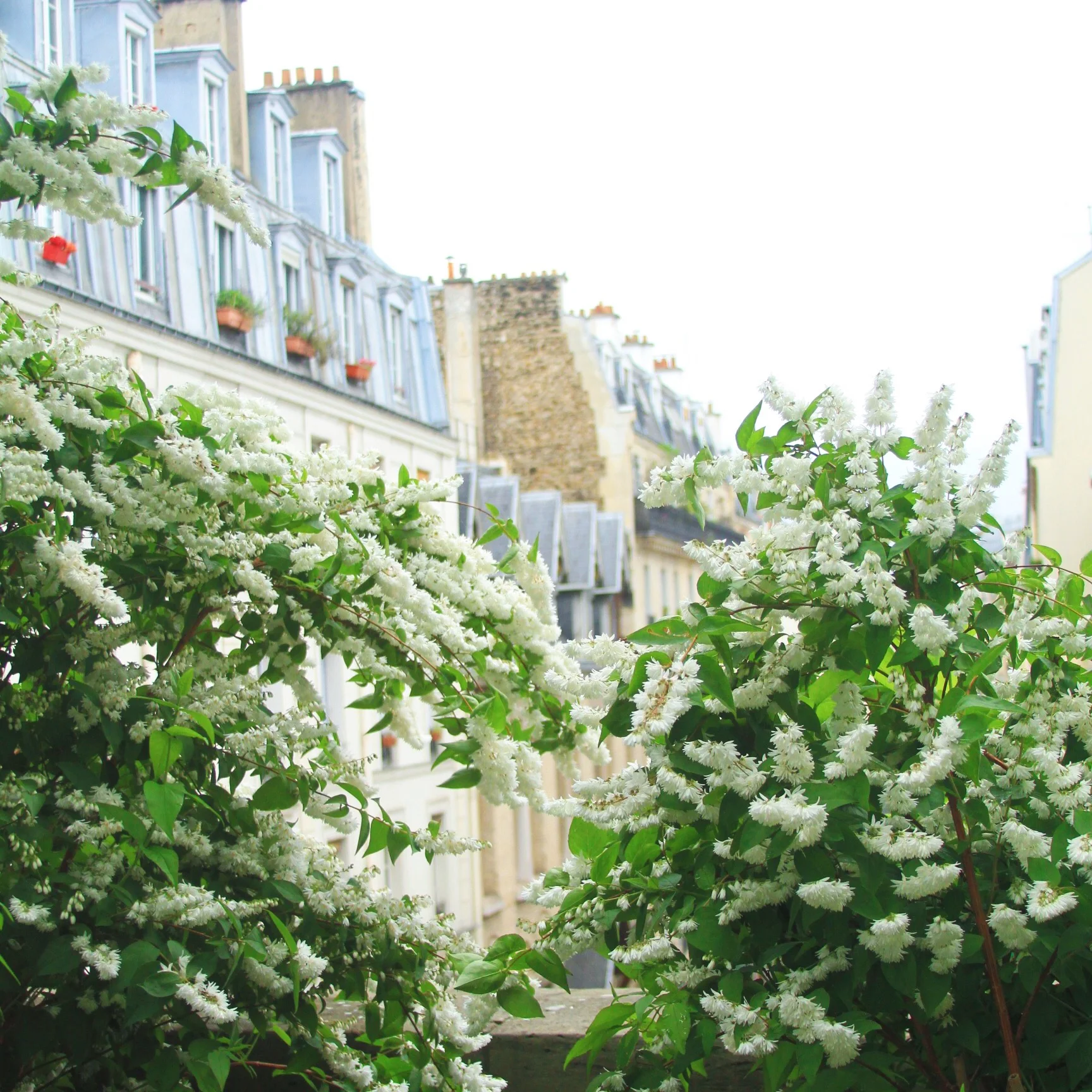 My Favorite Things to Do in Paris