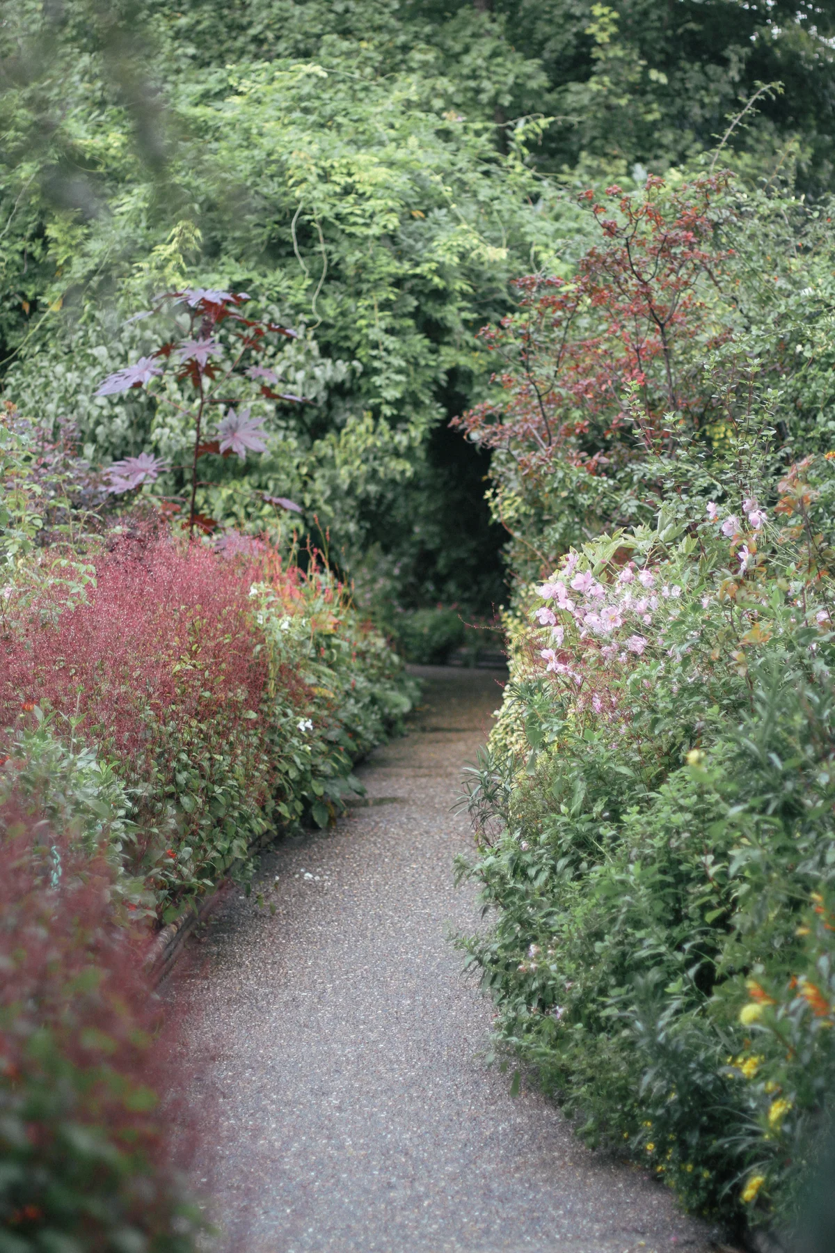 Giverny-14.jpg