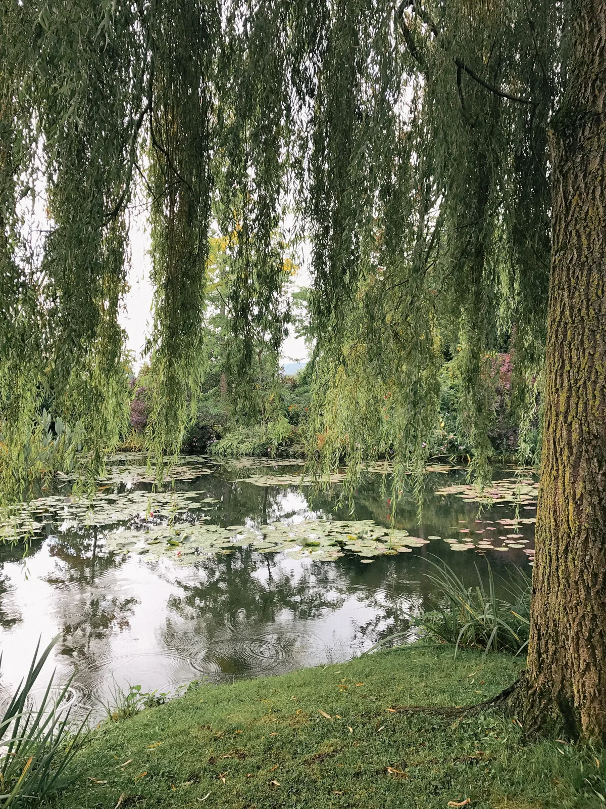 Giverny-29.jpg