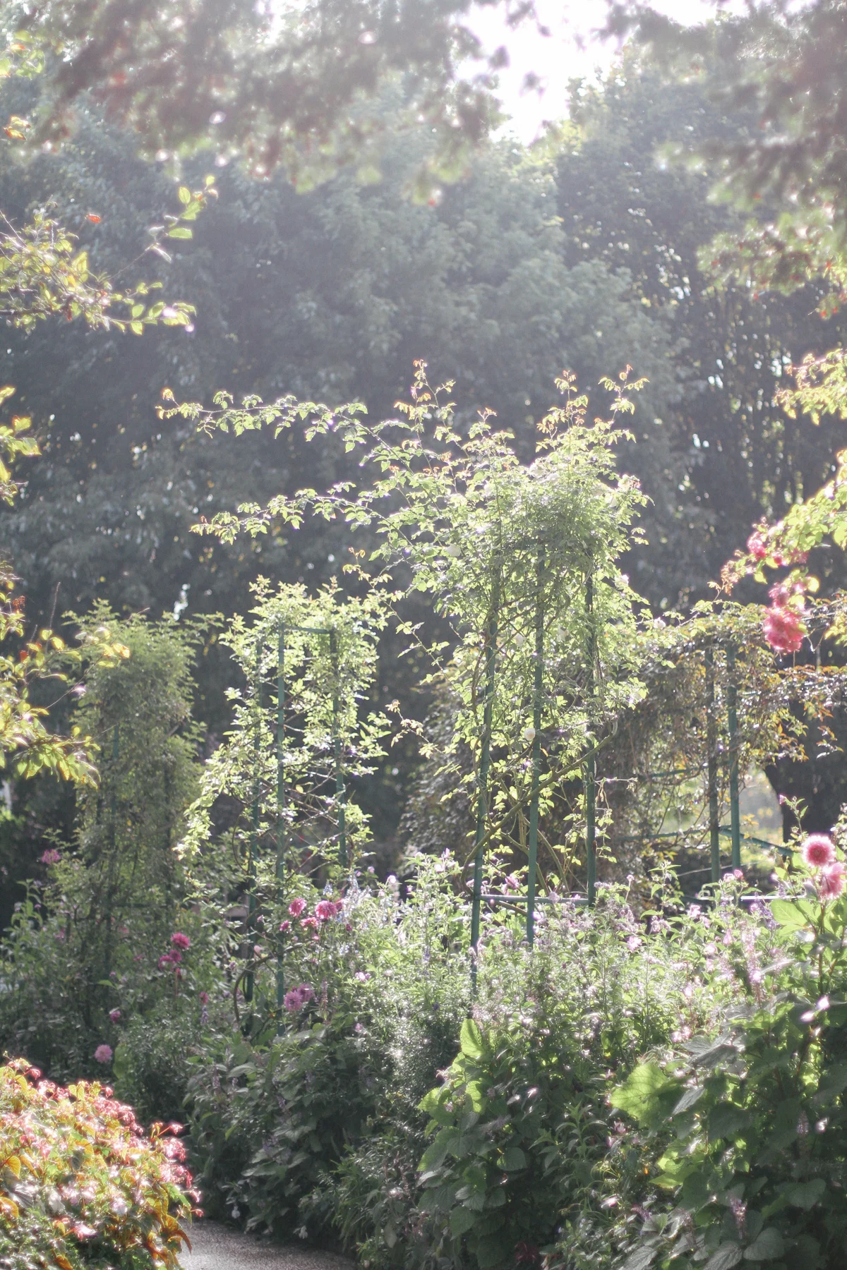 Giverny-16.jpg