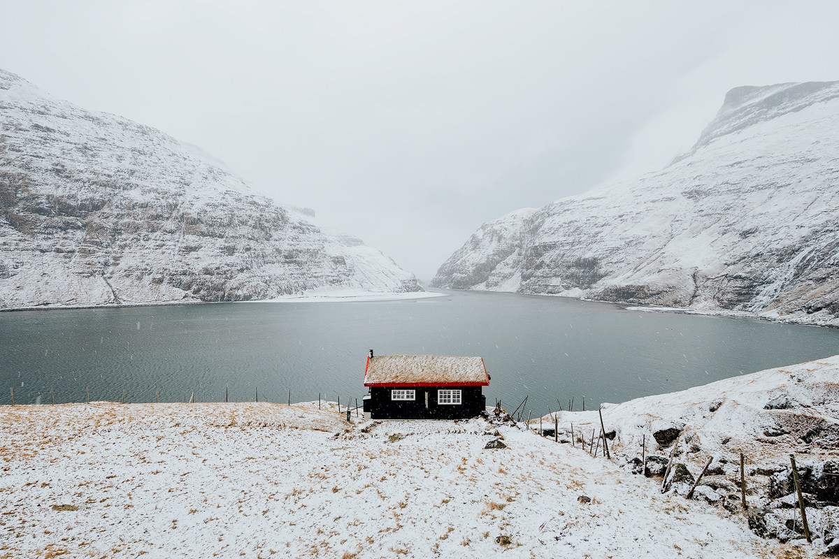 image by Renee Roaming