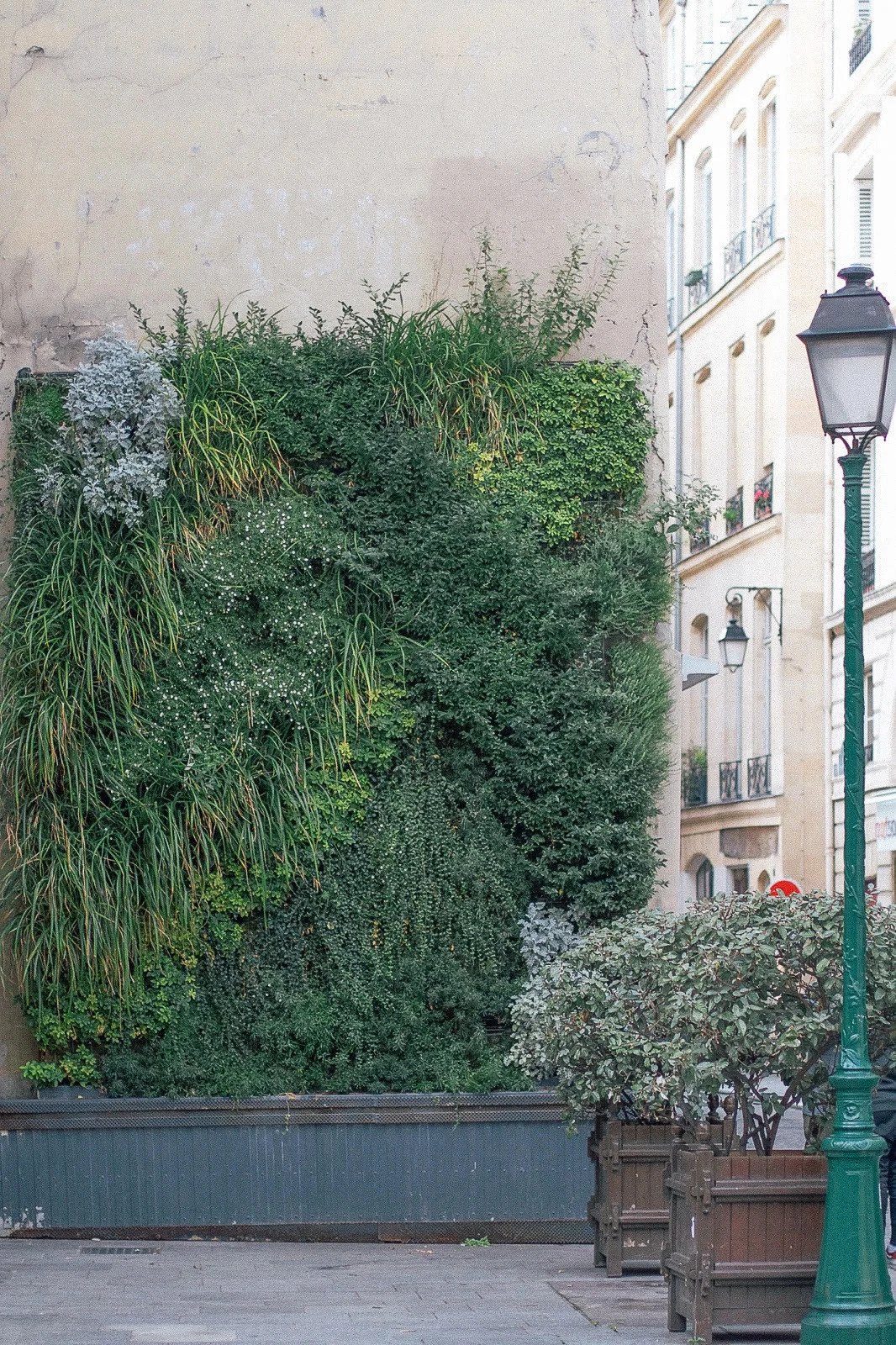 Paris-Walking-Guide-Monica-Francis