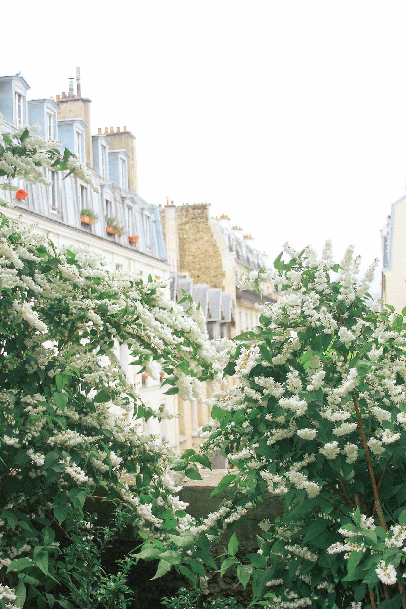 Paris-Walking-Guide-MonicaFrancis-9.jpeg