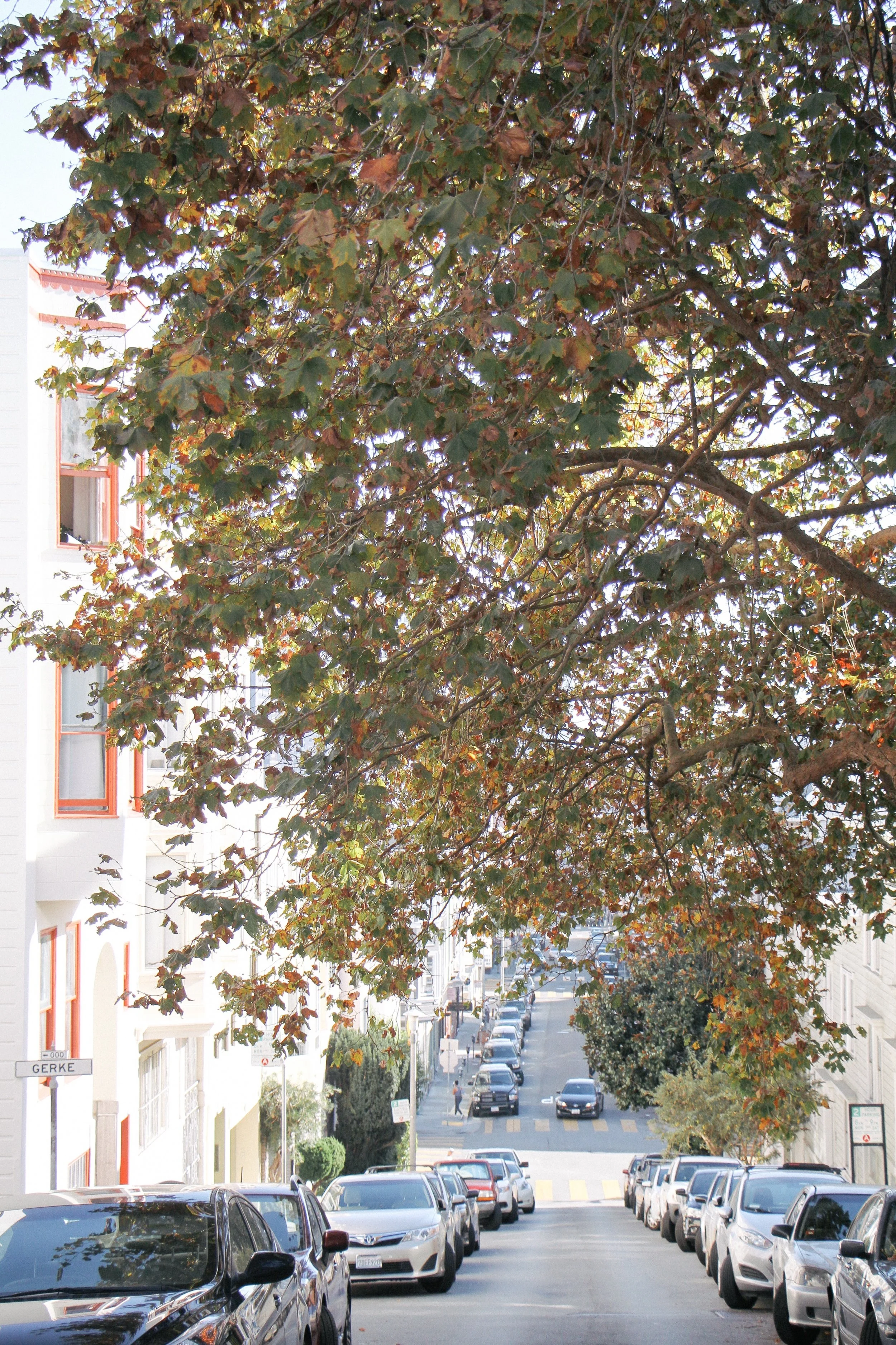 San Francisco City Guide - Monica Francis