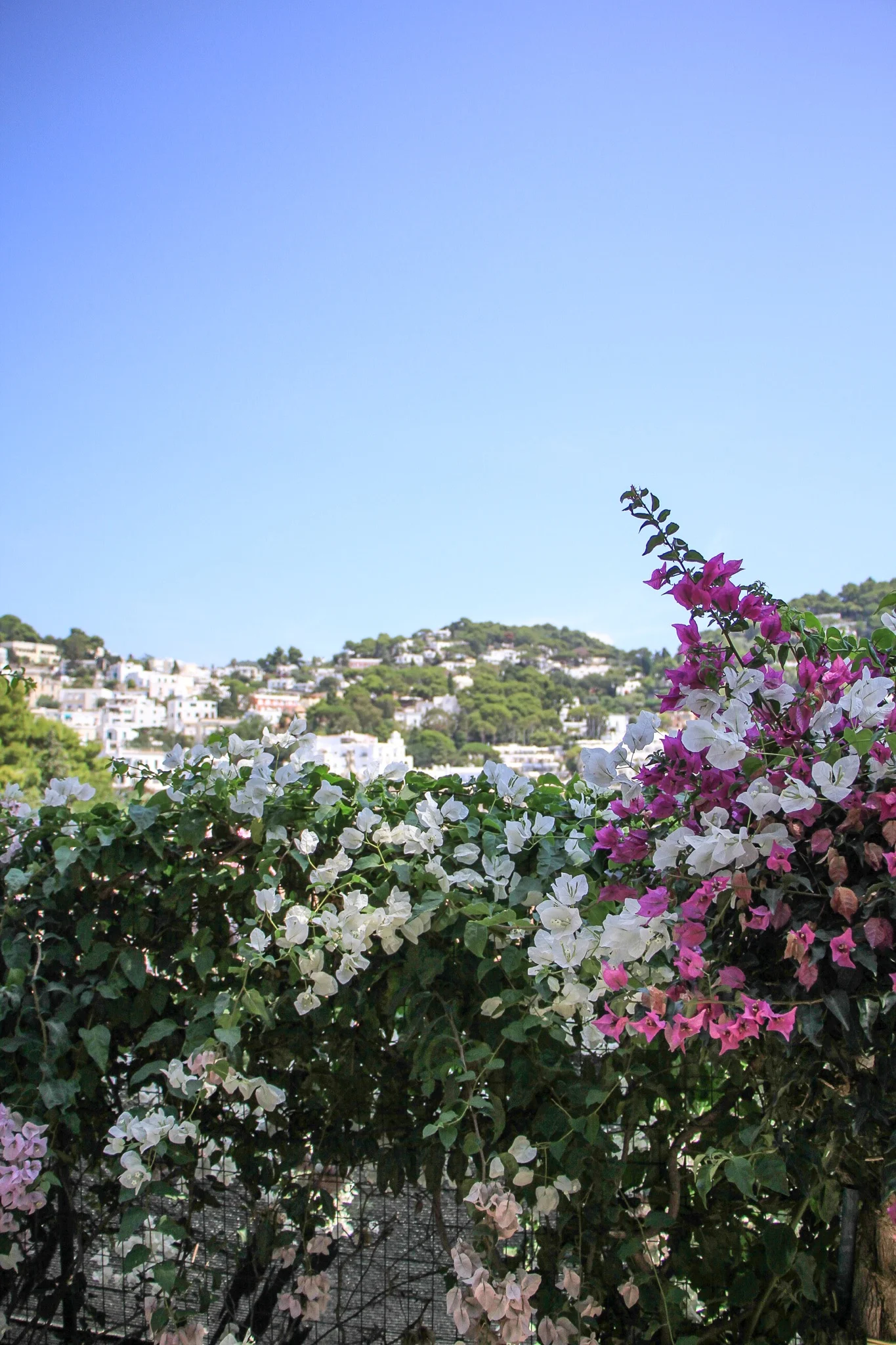 Capri Travel Guide | Monica Francis #mfrancisdesigntravels