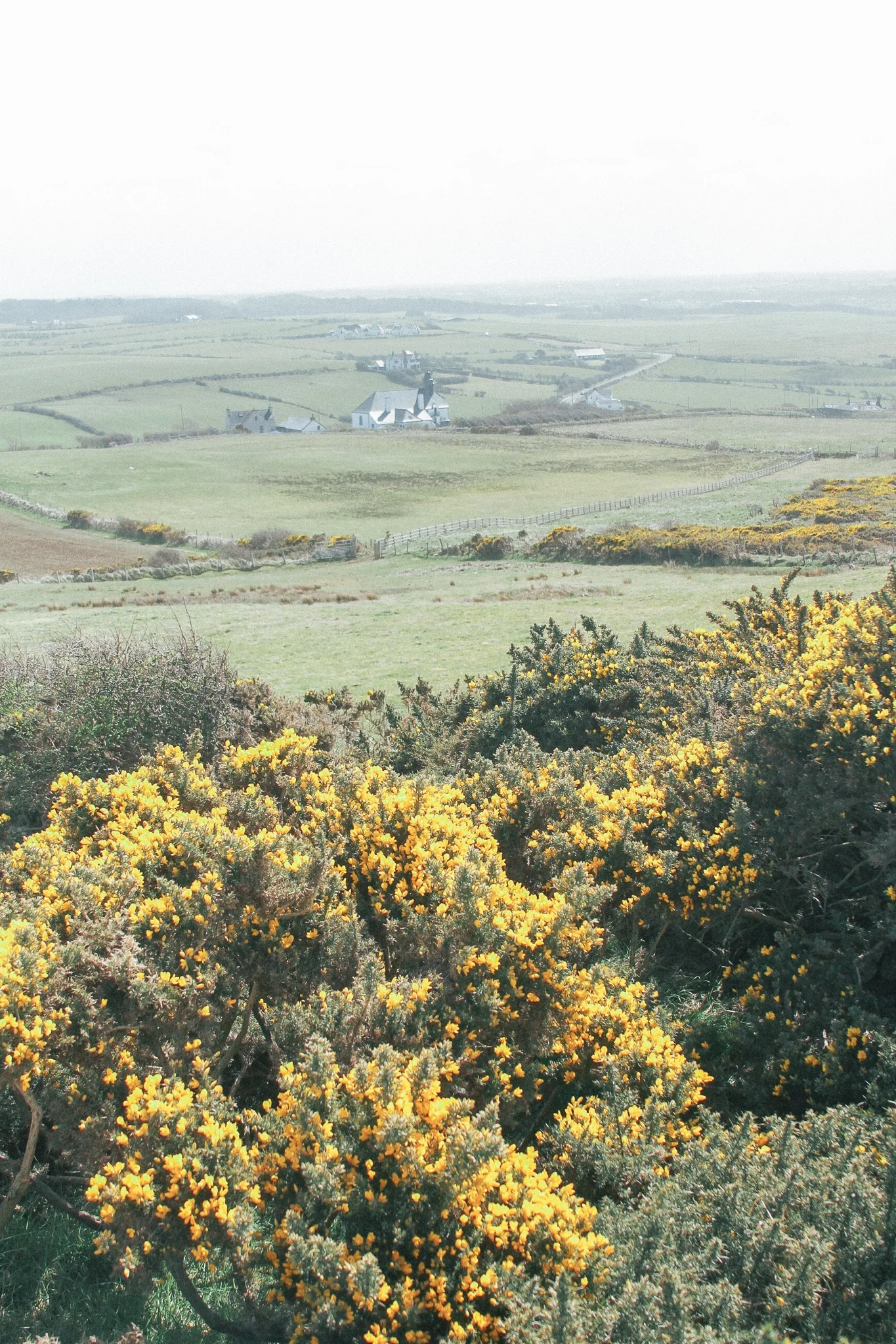 Ireland Travel Favorites | Monica Francis #mfrancisdesigntravels