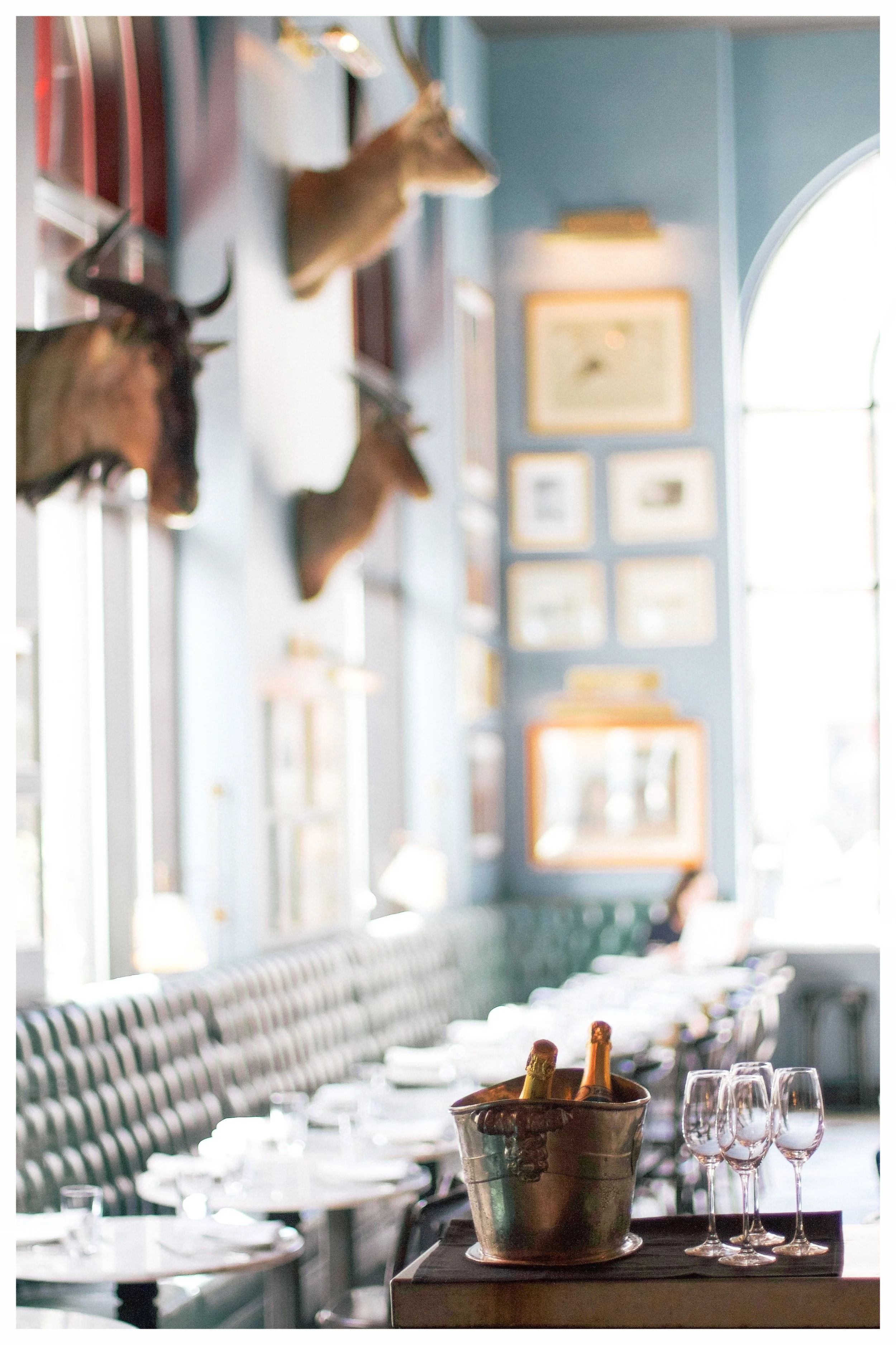 San Francisco City Guide - Monica Francis