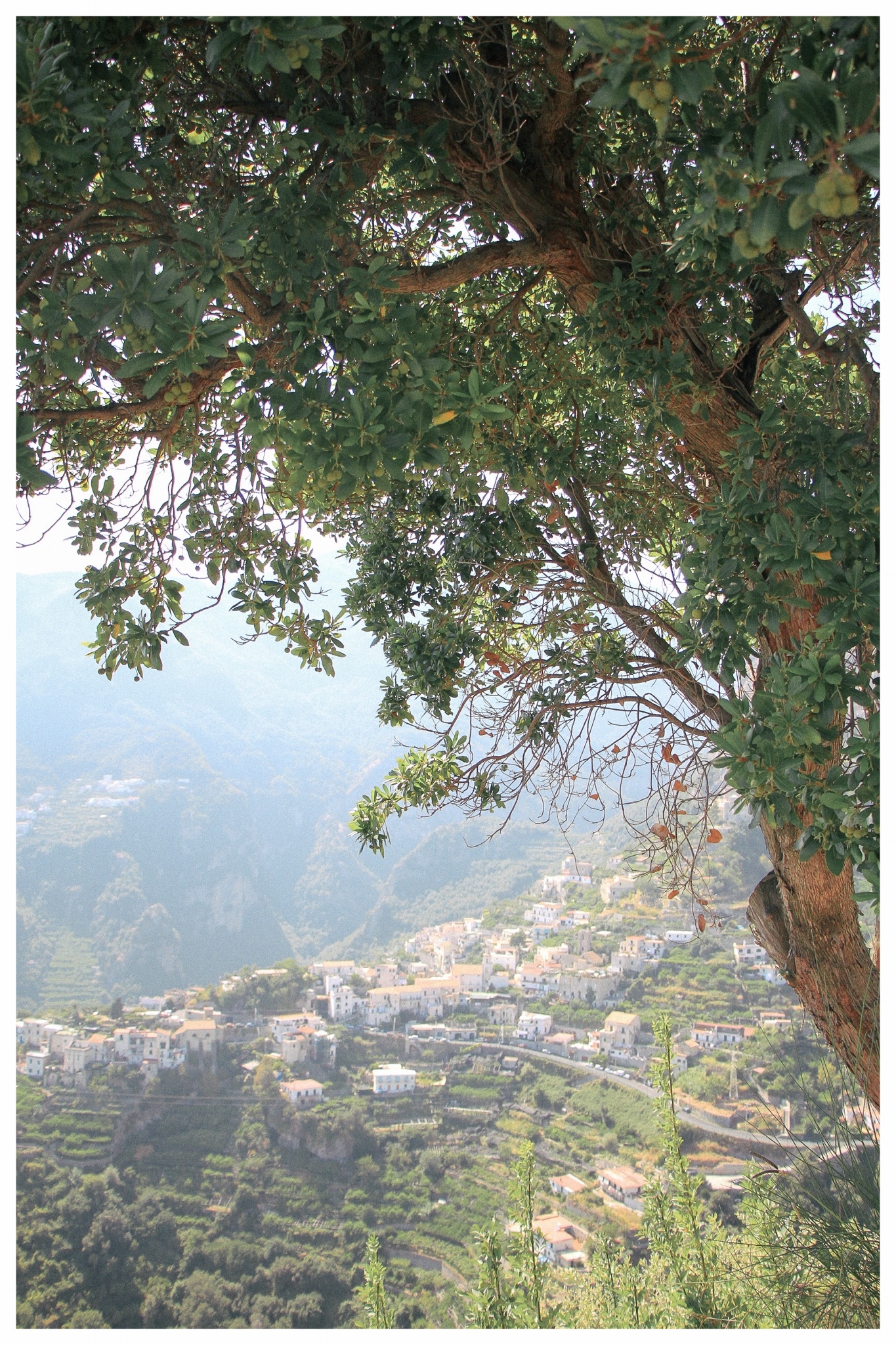 Amalfi Coast Travel Guide by Monica Francis Design