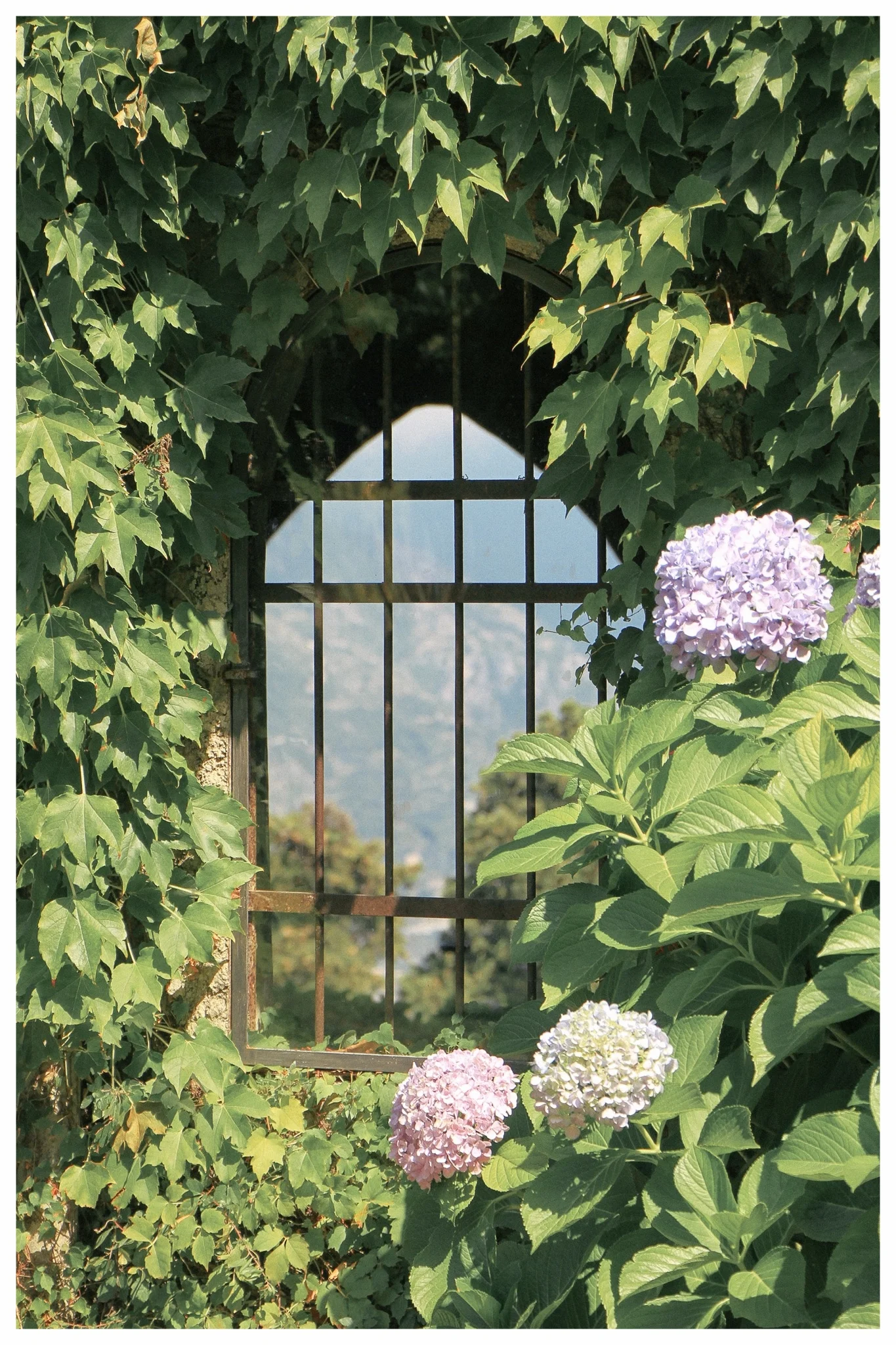 Amalfi Coast Travel Guide by Monica Francis Design