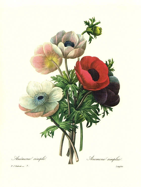 My Favorite Décor for a Stylish Home