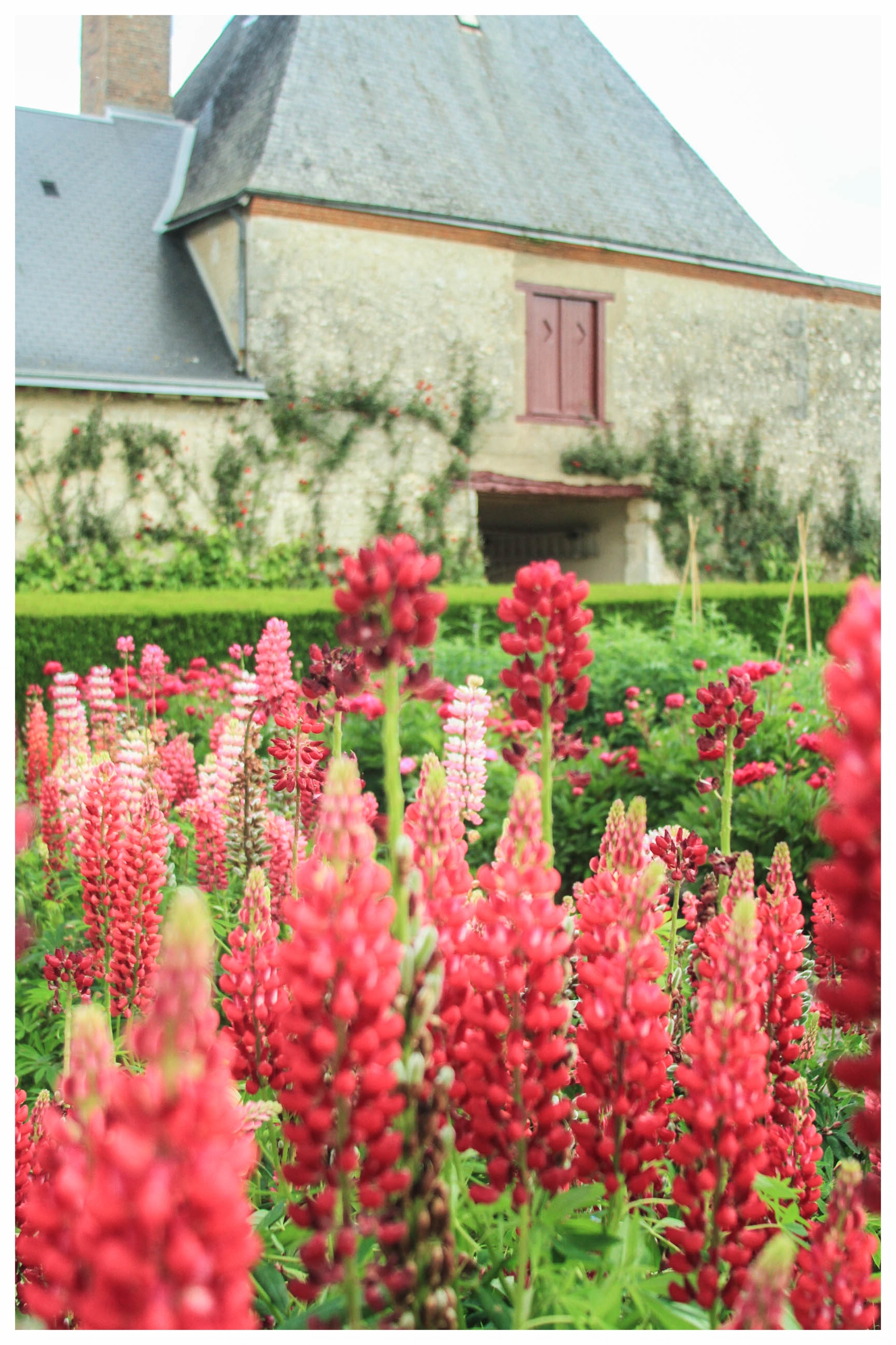 A Three-Day Itinerary to the Best of Loire Valley, France | A perfect itinerary and travel guide for a long weekend in the land of fairytale castles and hot air balloons. | Where to stay in Amboise | What to Do in Loire Valley | Châteaux Cheverny, V…