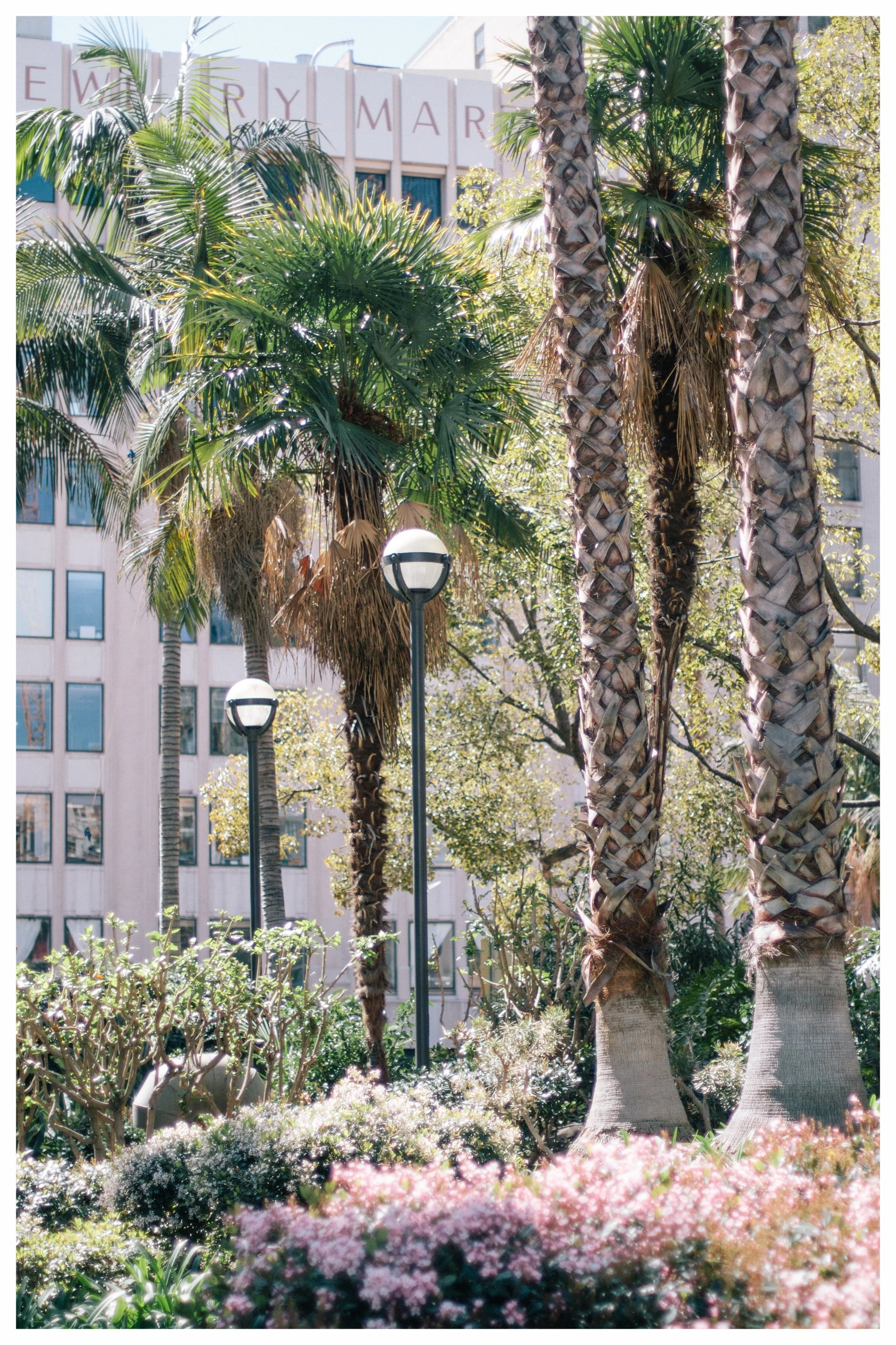 How to See the Charming Side of Los Angeles, California | Stylish things to do, from beaches and restaurants to cultural highlights and the best views. | What to wear in Los Angeles, what to see in Downtown L.A., What to the best food and most photo…