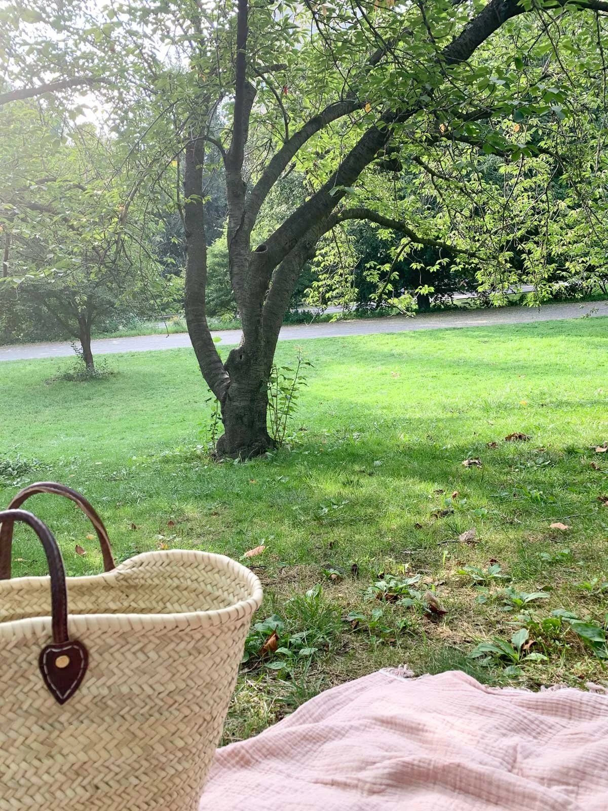 How to Picnic: An Easy &amp; Chic Guide for Anywhere in the World